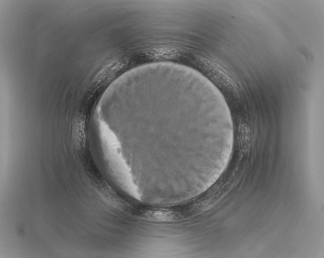 X0000115660506200912101054