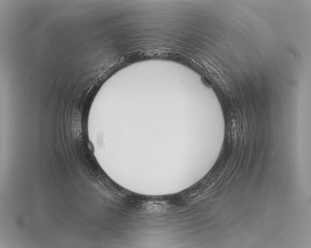 X0000115660508200912101054