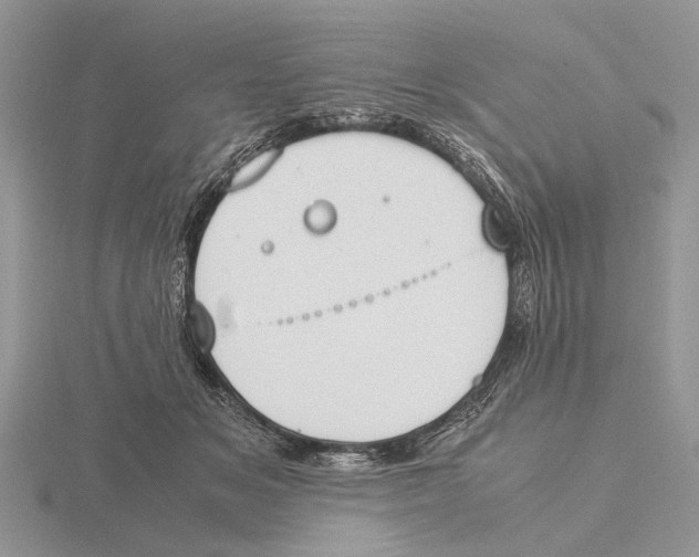 X0000115660509200912101054