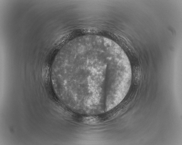 X0000115660511200912101054