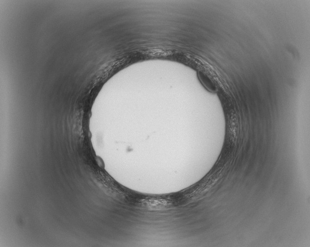 X0000115660512200912101054