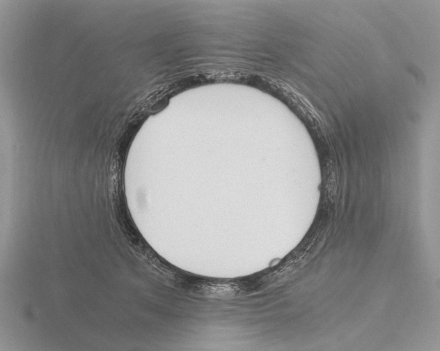 X0000115660513200912101054