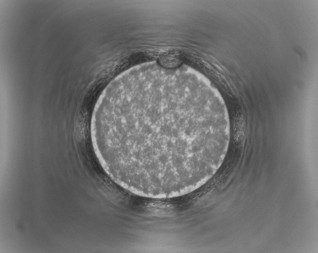 X0000115660515200912101054