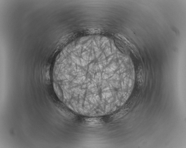 X0000115660516200912101054