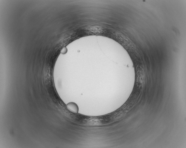 X0000115660518200912101054