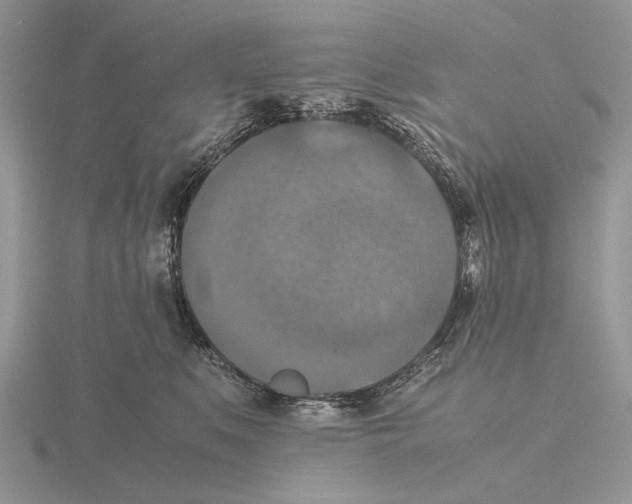 X0000115660519200912101054