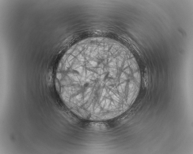 X0000115660520200912101054