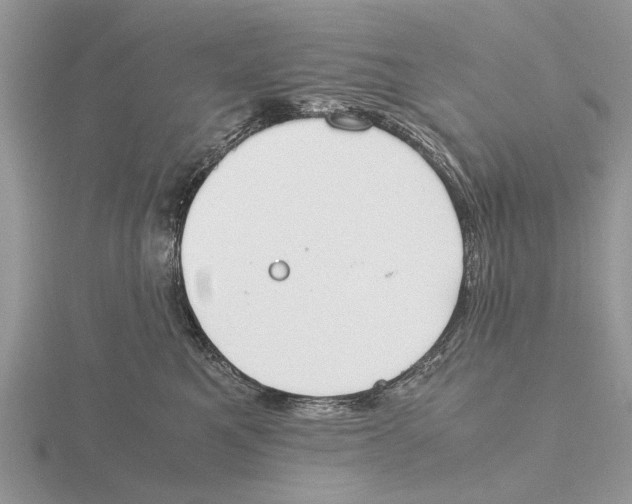 X0000115660521200912101054