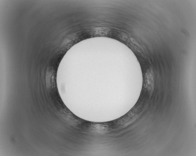 X0000115660522200912101054