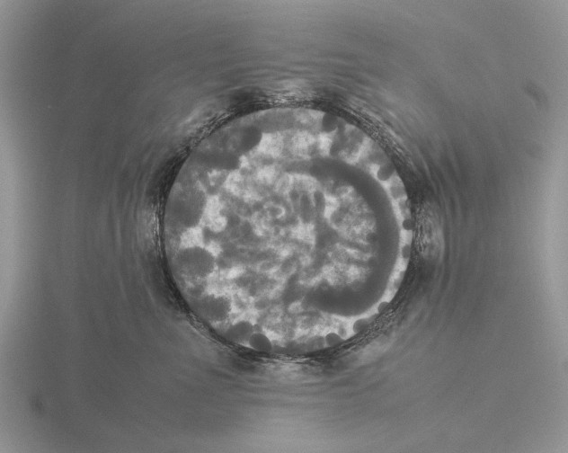 X0000115660523200912101054