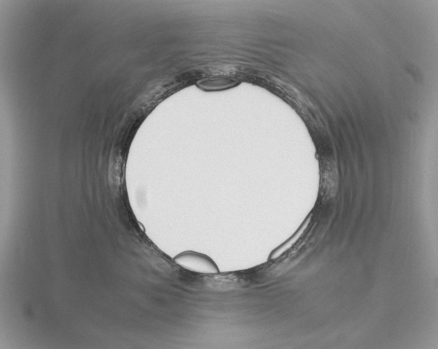 X0000115660525200912101054