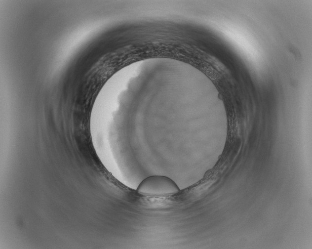 X0000115660526200912101054