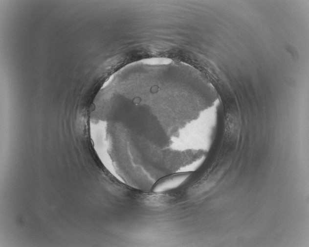 X0000115660527200912101054