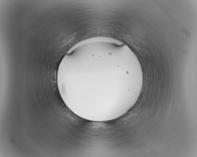 X0000115660528200912101054