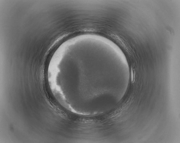 X0000115660531200912101053