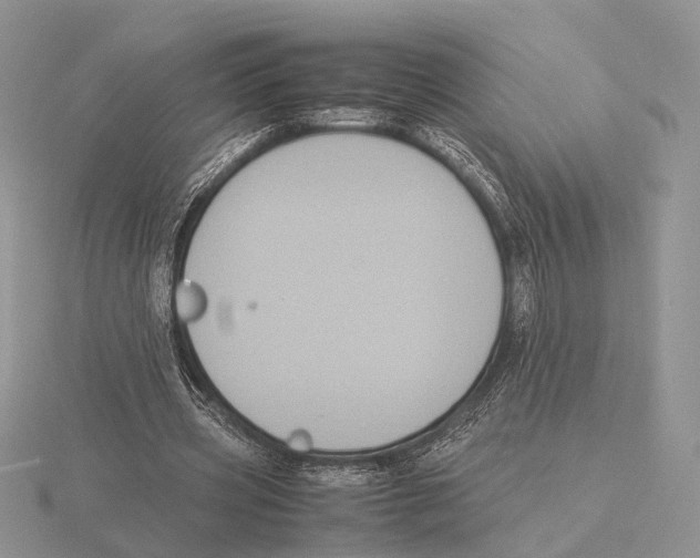 X0000115660533200912101053