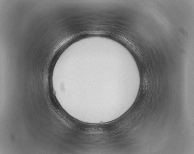 X0000115660535200912101053