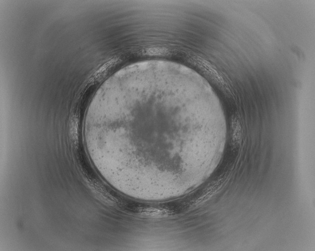 X0000115660542200912101054