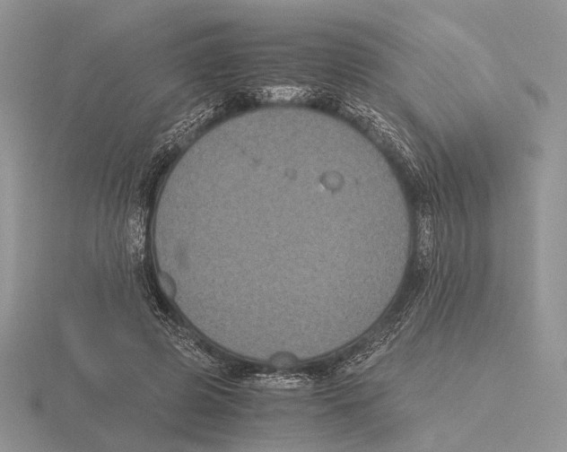 X0000115660545200912101054