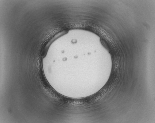 X0000115660546200912101054