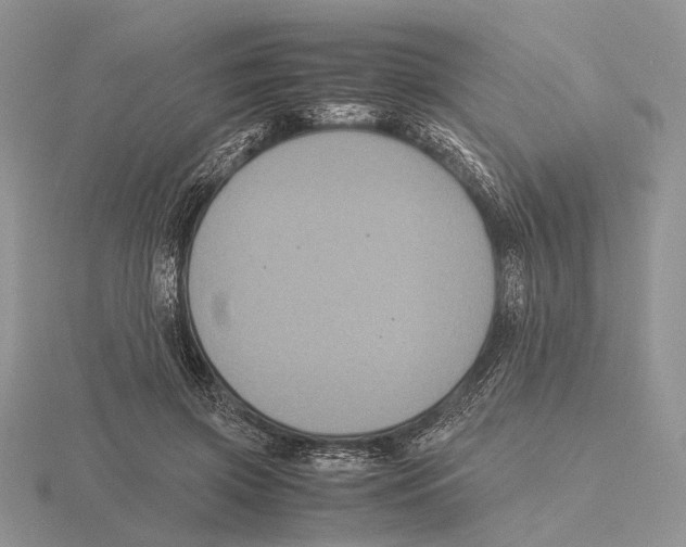 X0000115660549200912101054