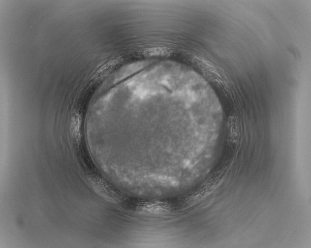 X0000115660550200912101054