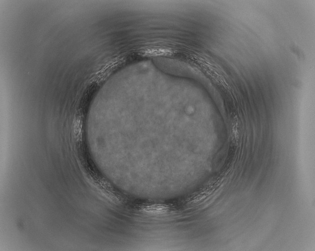 X0000115660551200912101054