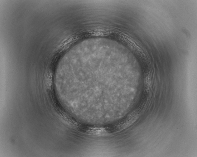 X0000115660554200912101054