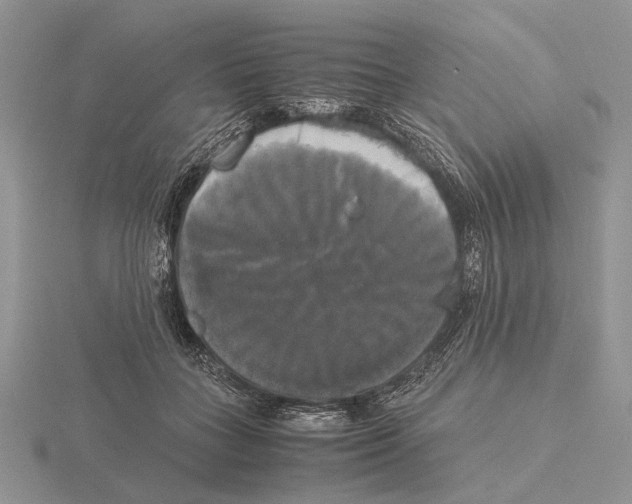 X0000115660555200912101054