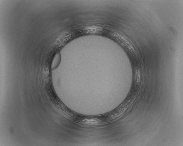 X0000115660557200912101054