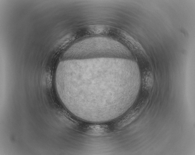 X0000115660558200912101054