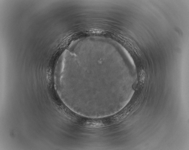 X0000115660559200912101054