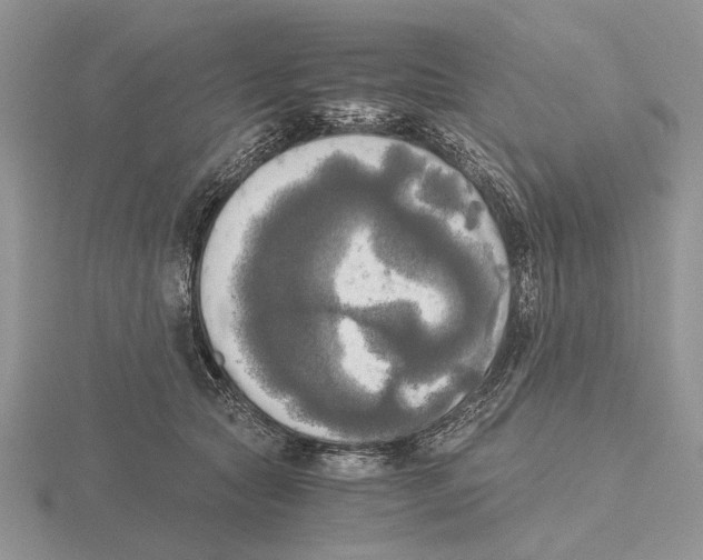 X0000115660561200912101054