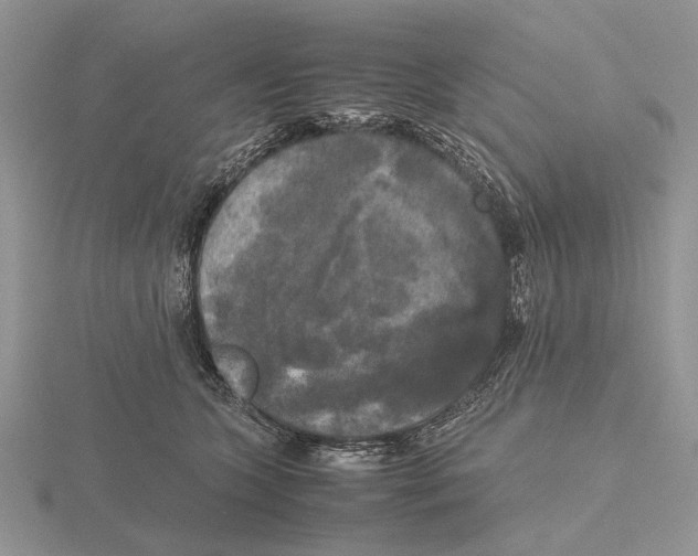 X0000115660563200912101054