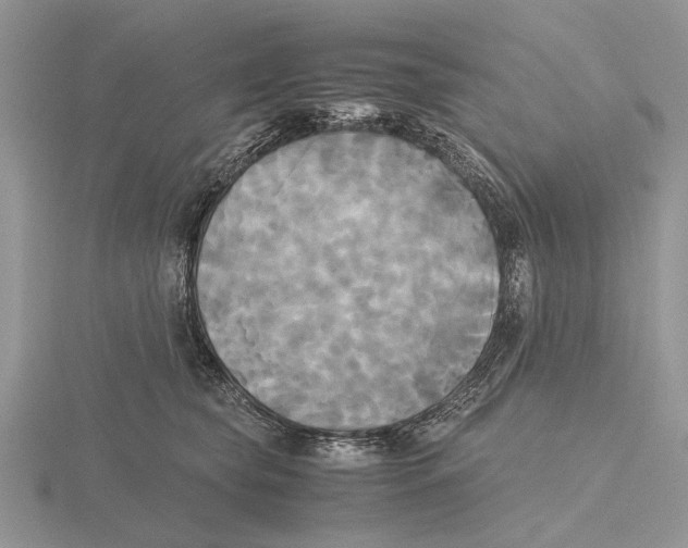 X0000115660565200912101054