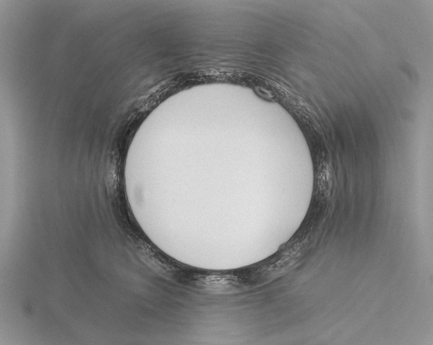 X0000115660566200912101054