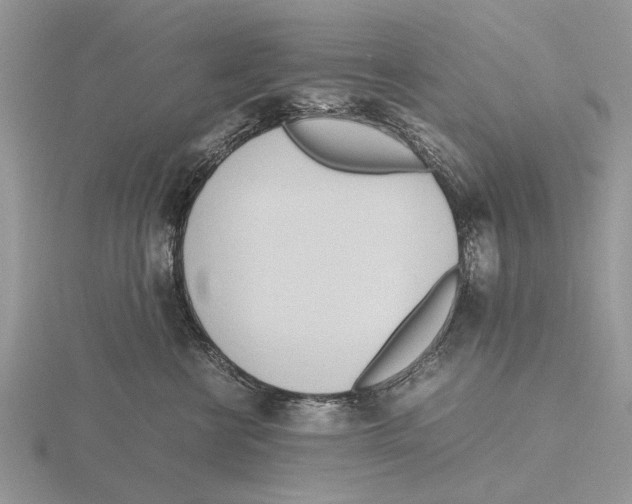 X0000115660570200912101054