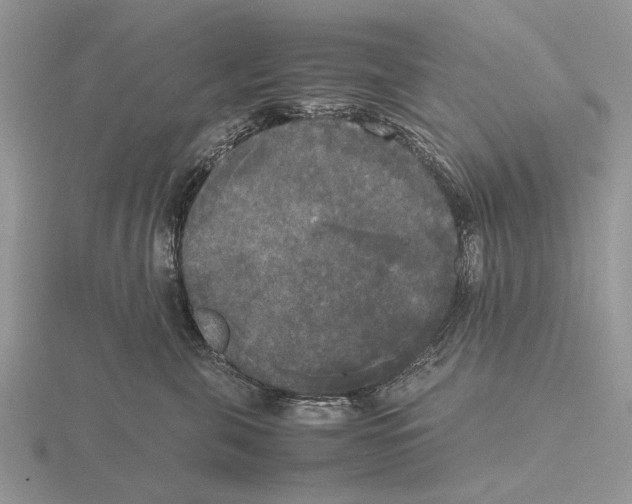 X0000115660571200912101054