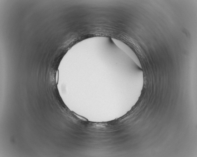 X0000115660573200912101054