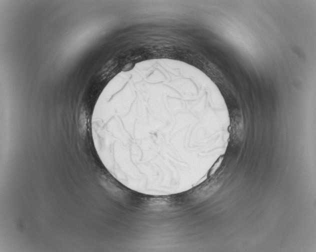 X0000115660574200912101054