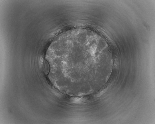 X0000115660575200912101054