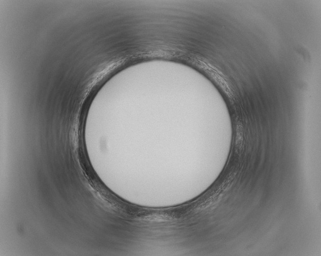 X0000115660578200912101053