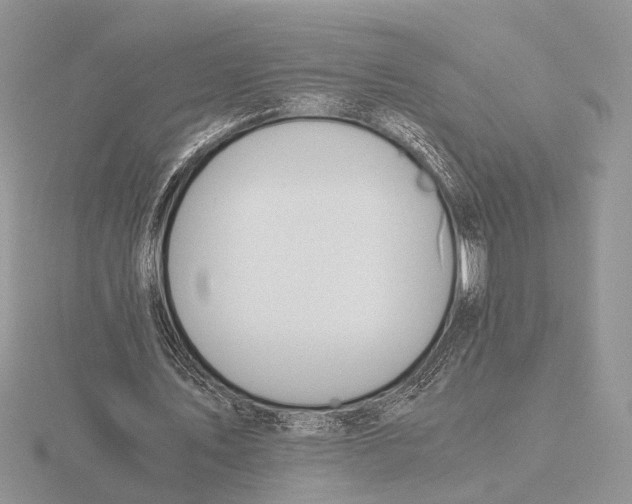 X0000115660579200912101053