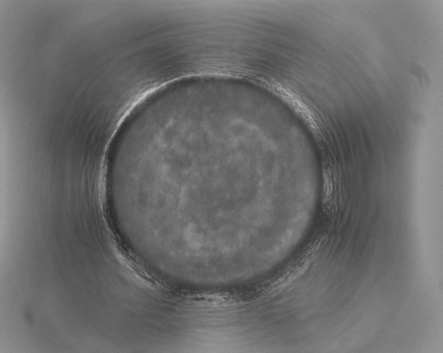 X0000115660580200912101053