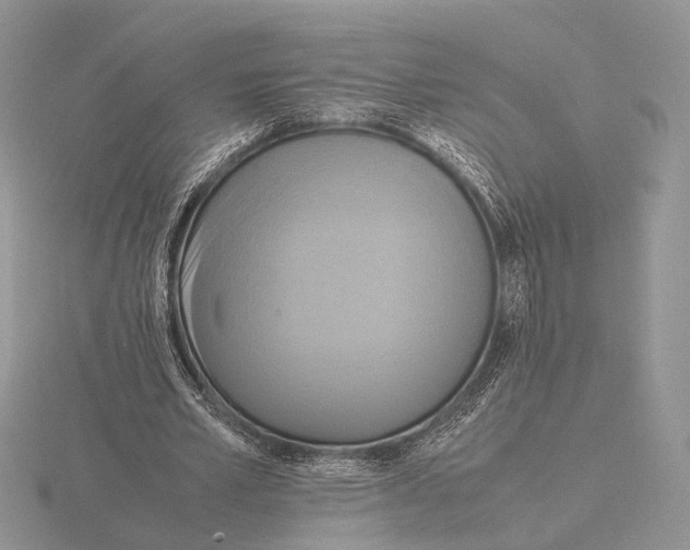 X0000115660581200912101053