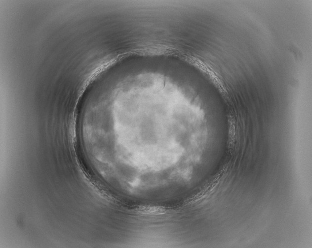 X0000115660582200912101053