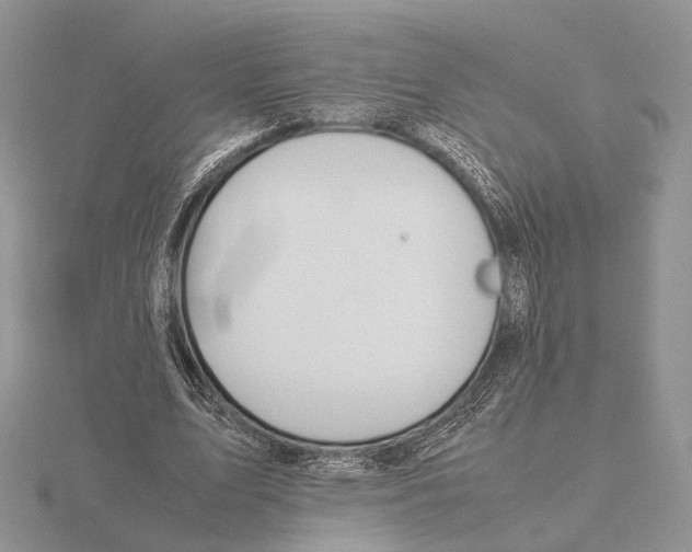 X0000115660583200912101053