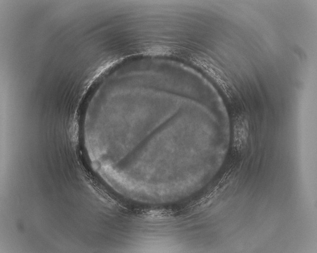 X0000115660584200912101053