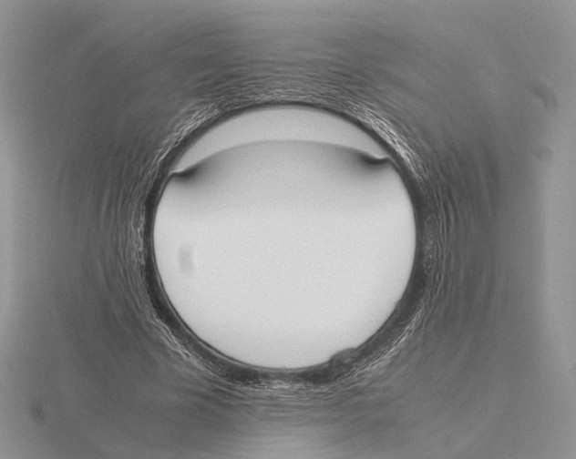 X0000115660585200912101053