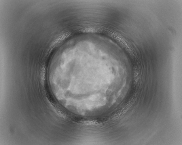 X0000115660586200912101053